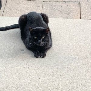 Meet your Posher, Donna